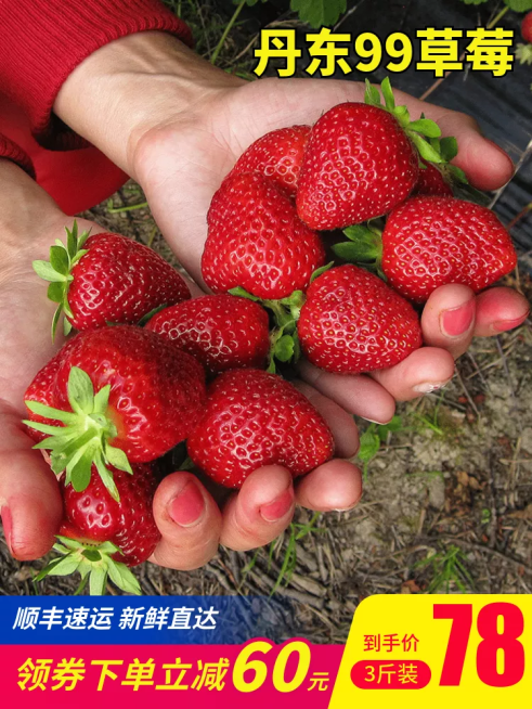 实景食品生鲜水果草莓直通车主图预览效果