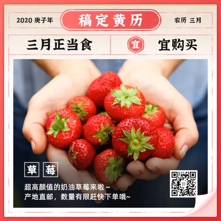 生鲜水果草莓日历风微淘主图预览效果