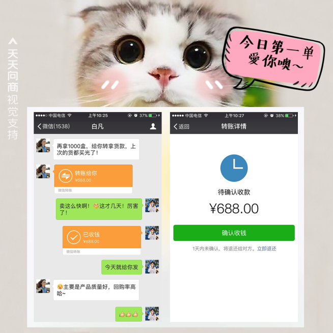 萌宠猫猫双图晒单方形海报预览效果