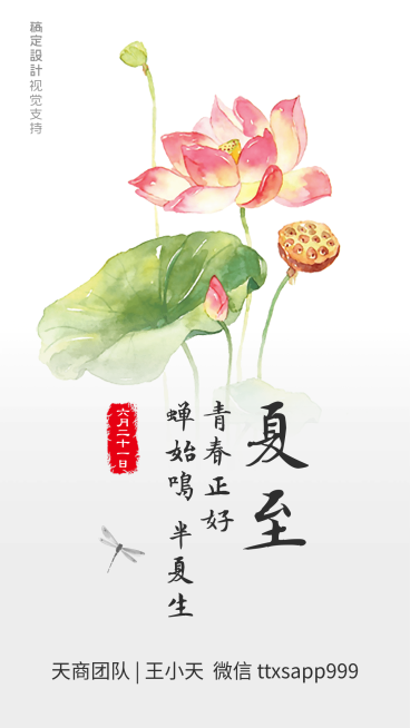 夏至节气预览效果