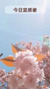 营销活动日历