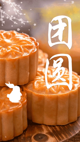 中秋节月饼产品介绍中国风手机视频