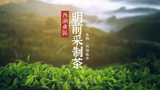 特产茶叶宣传田园风横版视频